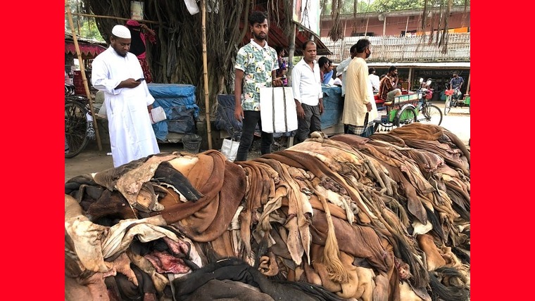 চামড়া সংরক্ষণে এতিমখানা ও মাদ্রাসায় ৩০ হাজার টন লবণ দিচ্ছে সরকার